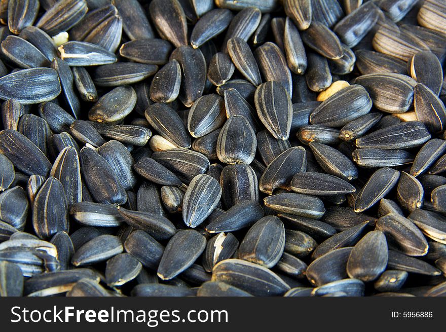 Small group of fried black sunflower seeds