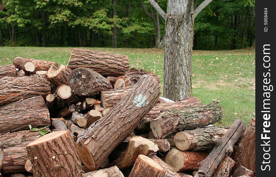 A pile of firewood ready for the winter season. A pile of firewood ready for the winter season