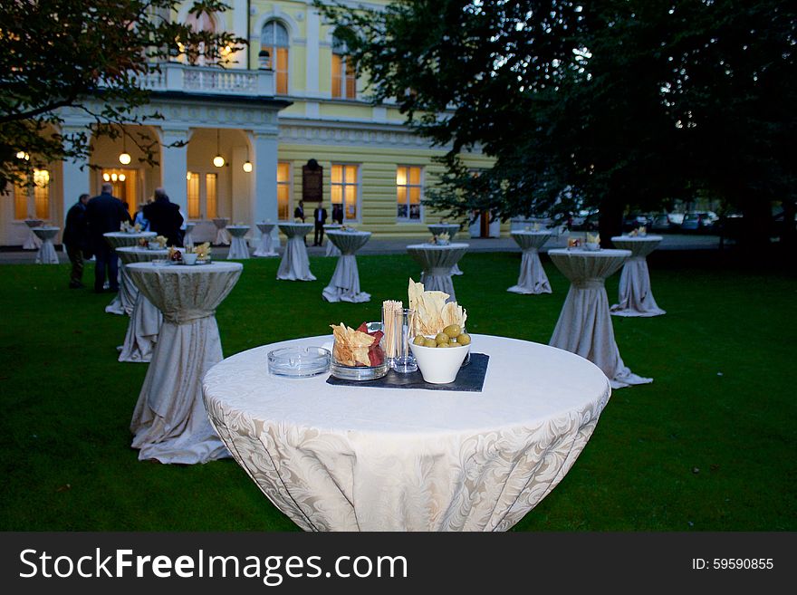 Luxurious evening party in a palace on the island Zofin in Prague. Luxurious evening party in a palace on the island Zofin in Prague.