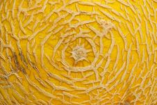 Texture Of Melon Skin Stock Photos Texture Of Melon Skin Stock Photos