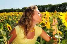 Girl Smells A Sunflower Stock Photos Girl Smells A Sunflower Stock Photos