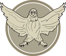 Stylized Vector Eagle Stock Photo Stylized Vector Eagle Stock Photo