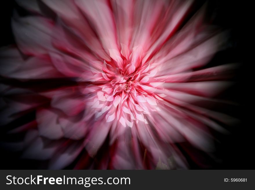 Star-like zoomed while exposure dahlia flower photo. Star-like zoomed while exposure dahlia flower photo