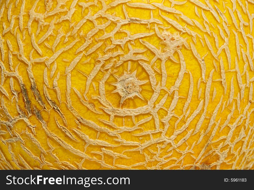 Yellow melon veined peel texture. Yellow melon veined peel texture