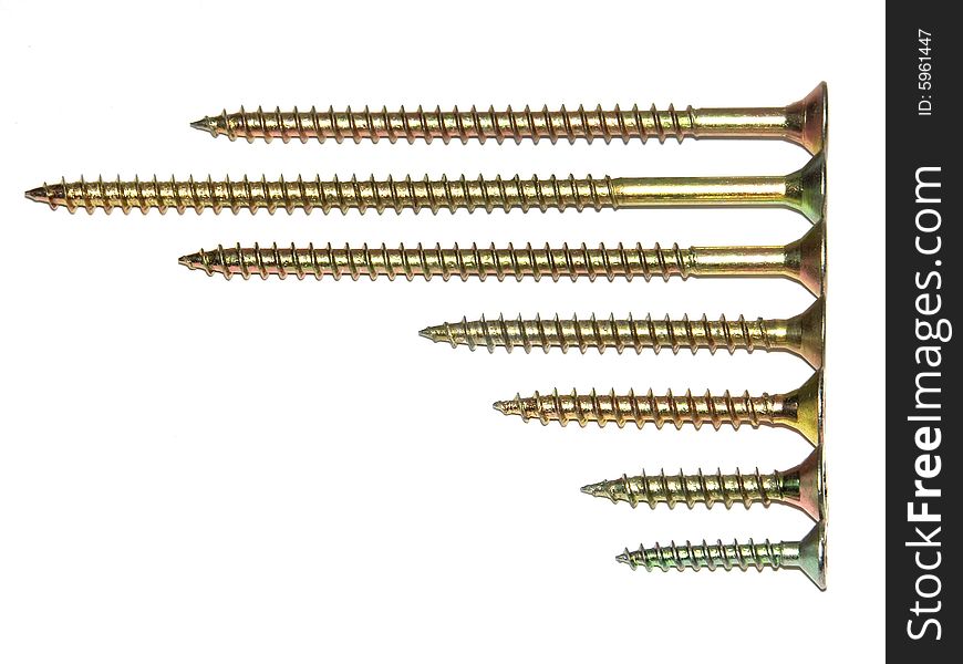 Screws of the miscellaneous of the size on white background