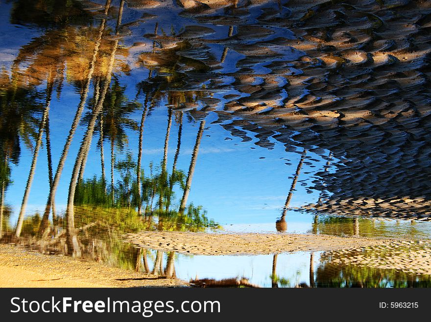 This photo was taken on a beautiful beach of the Brazilian coast. In this picture tried to capture the image reflected in seawater. She has been reversed. This photo was taken on a beautiful beach of the Brazilian coast. In this picture tried to capture the image reflected in seawater. She has been reversed.