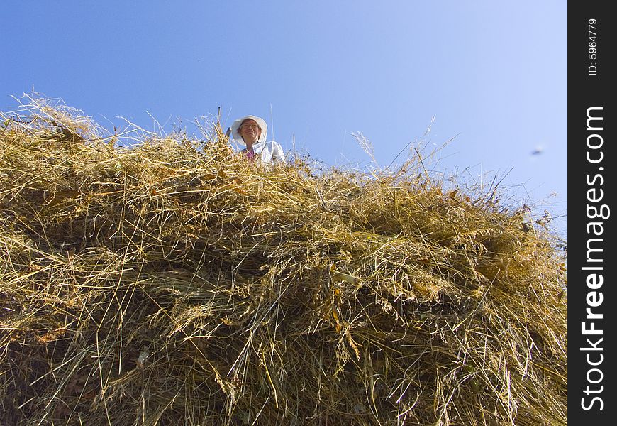 The image of preparation of hay peasants in Siberia. The image of preparation of hay peasants in Siberia