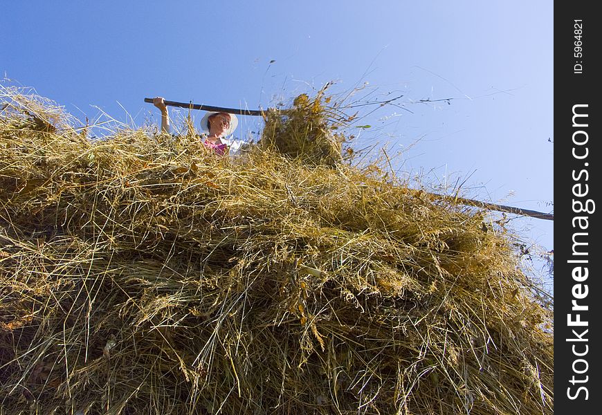 The image of preparation of hay peasants in Siberia. The image of preparation of hay peasants in Siberia