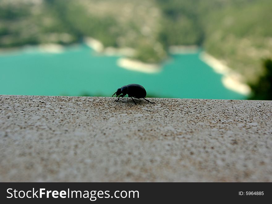 Looking out of museum bathroom in Guadalest and saw this beetle perched on the edge.  It was about 2 mm from an at least 150 foot drop. Looking out of museum bathroom in Guadalest and saw this beetle perched on the edge.  It was about 2 mm from an at least 150 foot drop