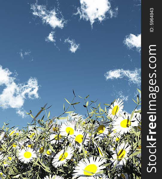 Beautiful field of flowers. 3d image. Beautiful field of flowers. 3d image