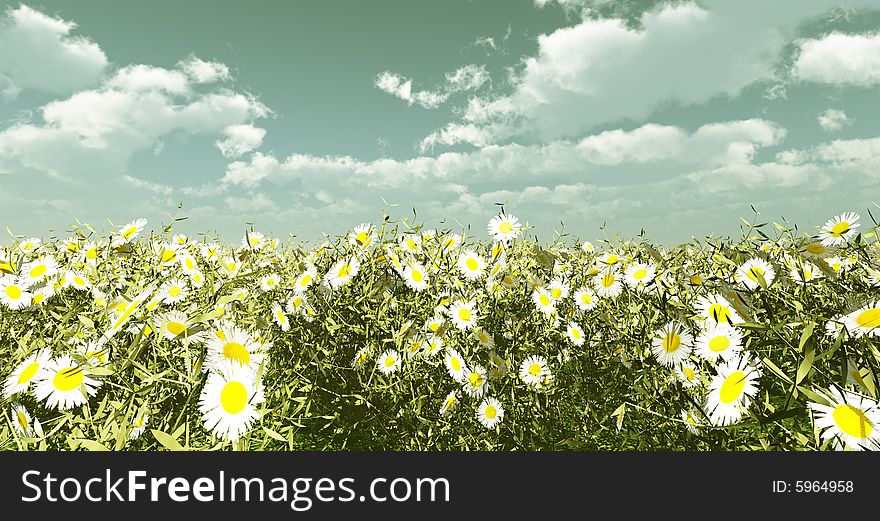 Beautiful field of flowers. 3d image. Beautiful field of flowers. 3d image