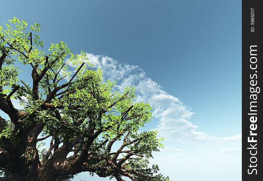 Beautiful cloudscape with tree. 3d image