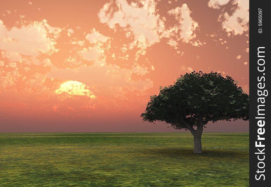 Beautiful sunset with lonely tree