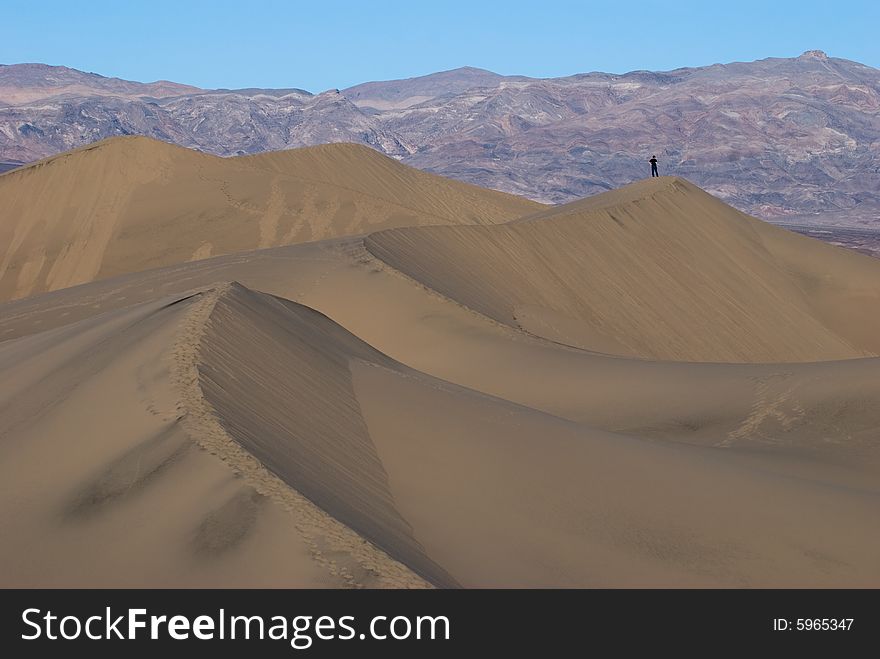 The great sand dunes in Death Valley national park at sunrise. The great sand dunes in Death Valley national park at sunrise