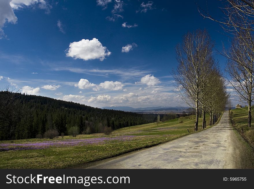 Road, big forest, meadow and blue sky. Road, big forest, meadow and blue sky