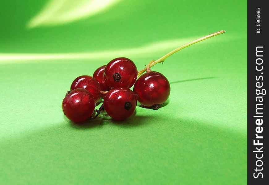 Red currant isolated on a green background