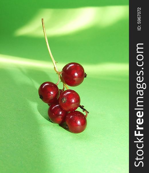 Red currant isolated on a green background