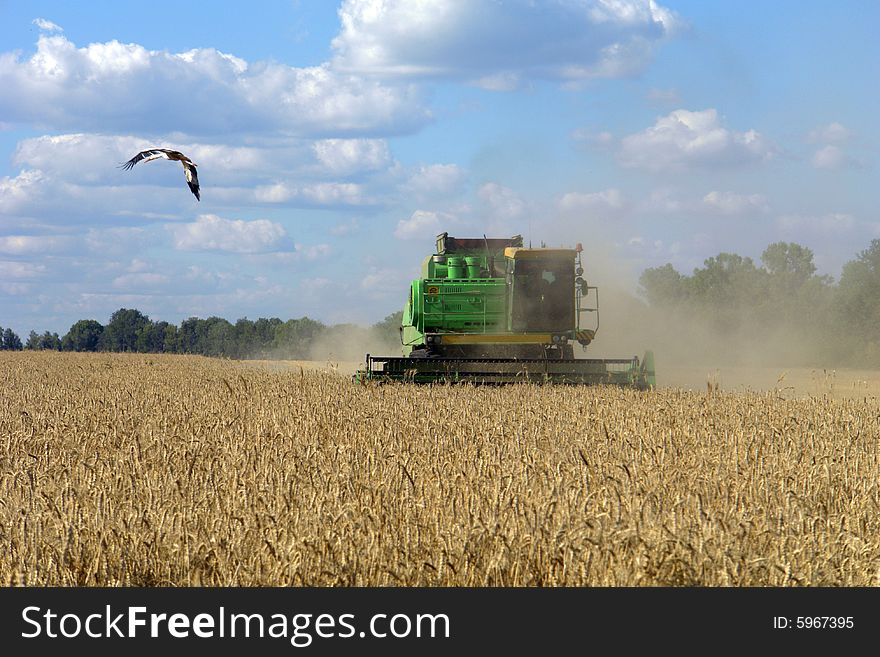 Combine on a background of a field