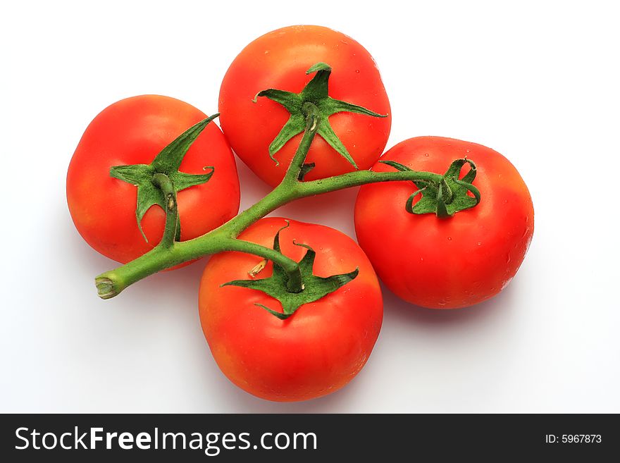 Four red tomatoes on the stem, shot in studio on white, concept of freshness and purity. Four red tomatoes on the stem, shot in studio on white, concept of freshness and purity