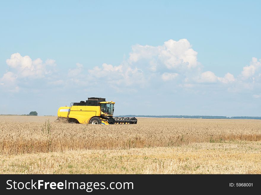 The beginning of harvesting on a wheaten field