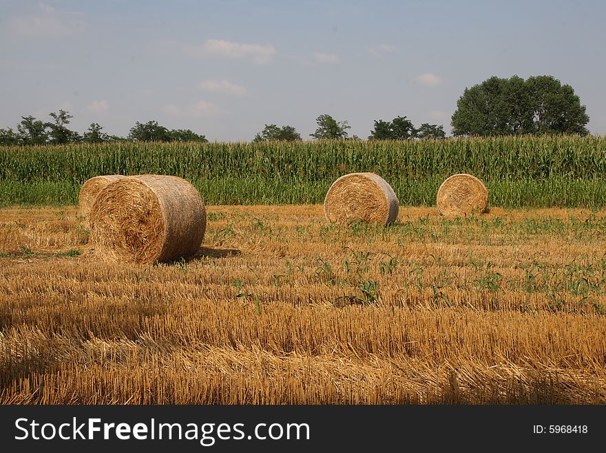 Hay Bales in a field