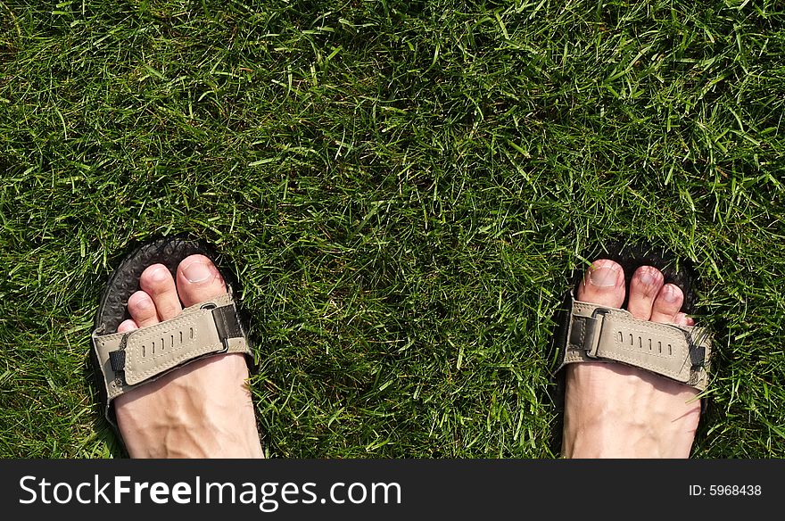 Foot in sandals on the grass