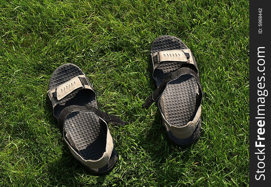 Sandals on the green grass. Sandals on the green grass