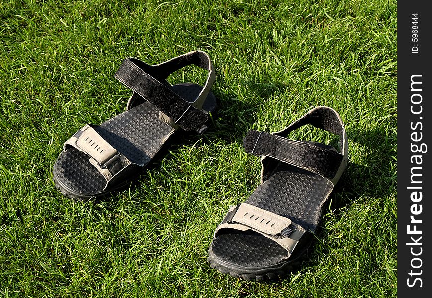 Sandals On The Grass