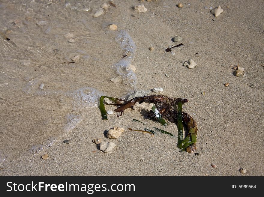 Detail on a sand beach with some sea weed, sand and rock. Detail on a sand beach with some sea weed, sand and rock.