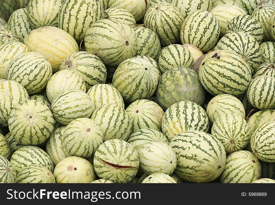 Rotting melons