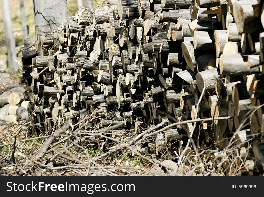 Stack of logs in the forest. Stack of logs in the forest