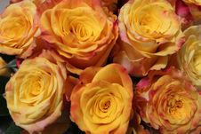 Close Up Of A Bouquet Of Flowers Royalty Free Stock Photos Close Up Of A Bouquet Of Flowers Royalty Free Stock Photos