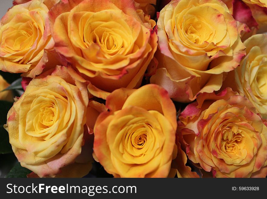 Close up of a bouquet of flowers with pink and yellow roses