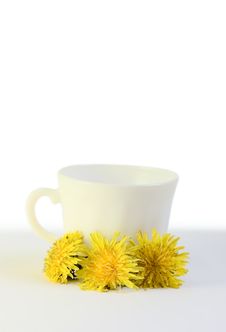 Cup And Flowers Isolated On White Royalty Free Stock Images Cup And Flowers Isolated On White Royalty Free Stock Images