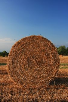 Hay Bale Royalty Free Stock Photography Hay Bale Royalty Free Stock Photography