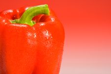 Red Bell Pepper On Red Gradient Background Stock Image