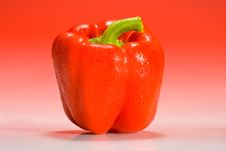Red Bell Pepper On Red Gradient Background Stock Photography