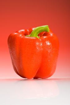 Red Bell Pepper On Red Gradient Background Stock Photo