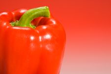 Red Bell Pepper On Red Gradient Background Stock Photography