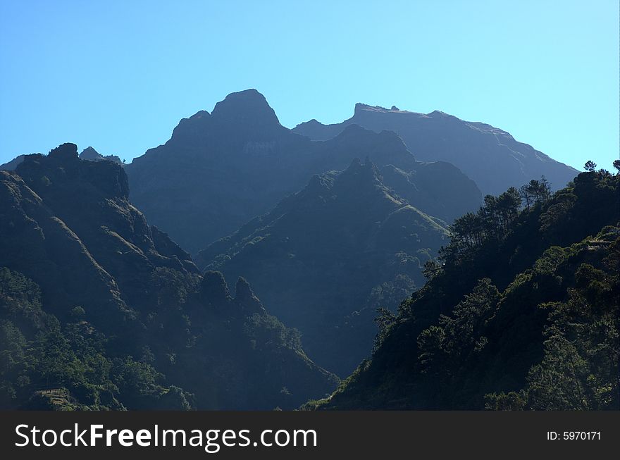 Mountain forest on the island of Madeira.