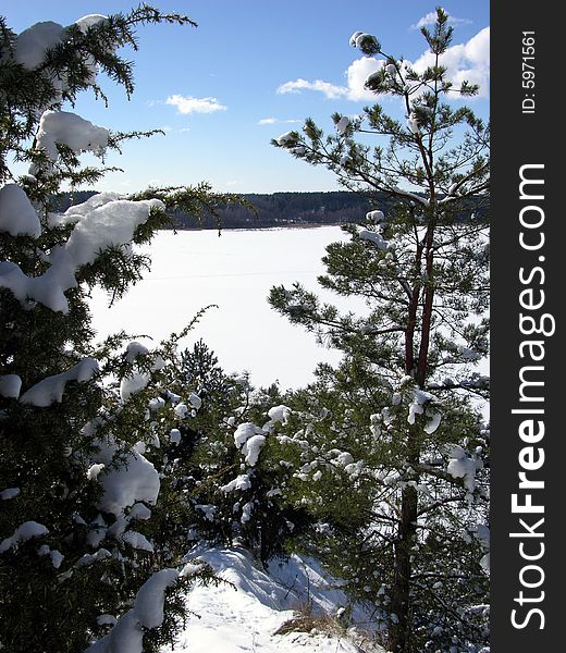 The view through trees to the frozen lake (Lithuania).