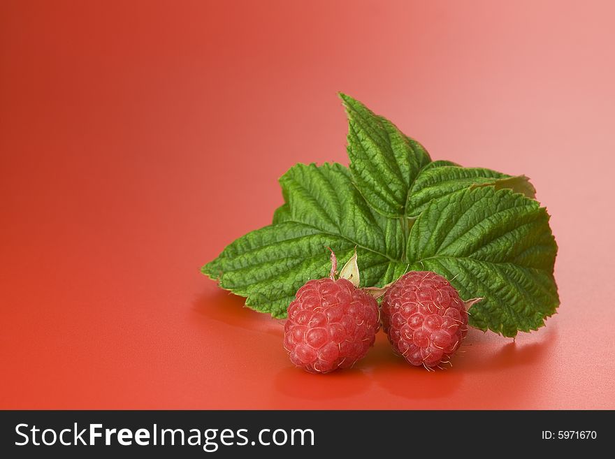 Close up view of nice fresh red raspberry. Close up view of nice fresh red raspberry.