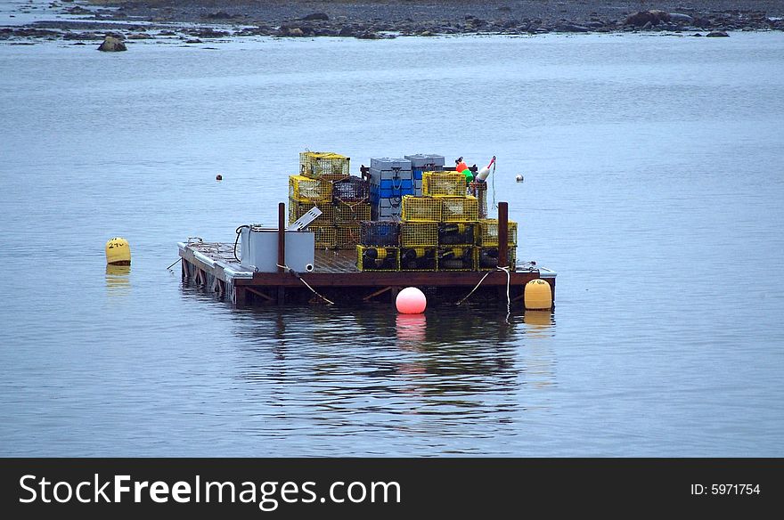 Lobster Traps