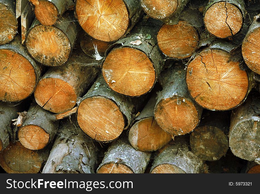 Wooden cut texture for background