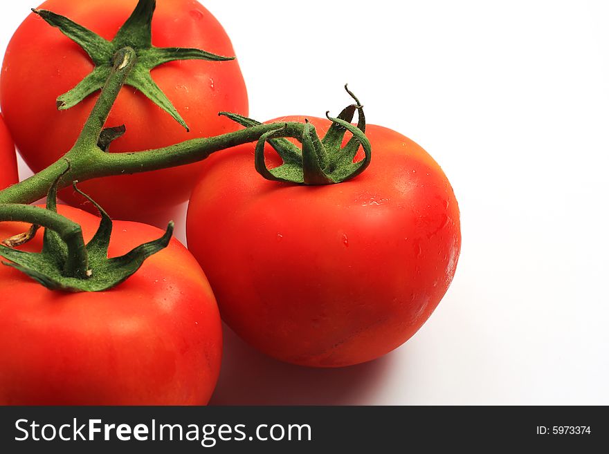 Three red tomatoes on the stem shot on white in studio, cropped shot with copy space to the right, perfect for concepts of freshness or purity. Three red tomatoes on the stem shot on white in studio, cropped shot with copy space to the right, perfect for concepts of freshness or purity