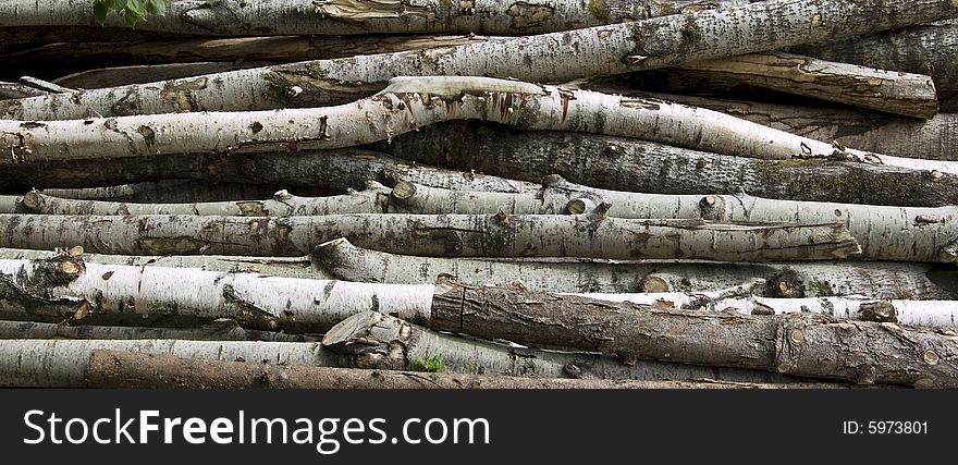 Stacked Birch logs background texture. Stacked Birch logs background texture