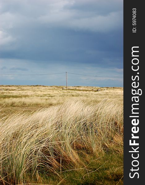 Field with yellow and green grass and a phone pole in the background with a wonderful and contrasted sky. Field with yellow and green grass and a phone pole in the background with a wonderful and contrasted sky.