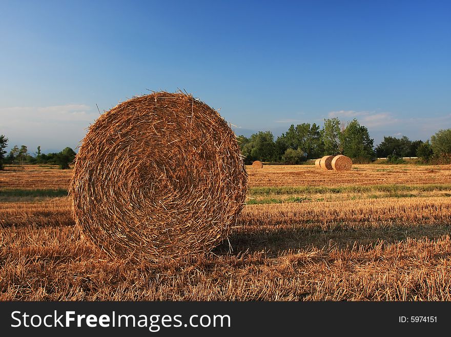 A close up of a hay bale on a corn field in Europe, shot in the warm afternoon sun, great warm feel to the image. A close up of a hay bale on a corn field in Europe, shot in the warm afternoon sun, great warm feel to the image