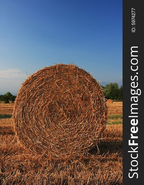 A close up of a hay bale on a corn field in Europe, shot in the warm afternoon sun, great warm feel to the image