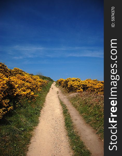 Path to the blue sky between yellow and green colours. Path to the blue sky between yellow and green colours.